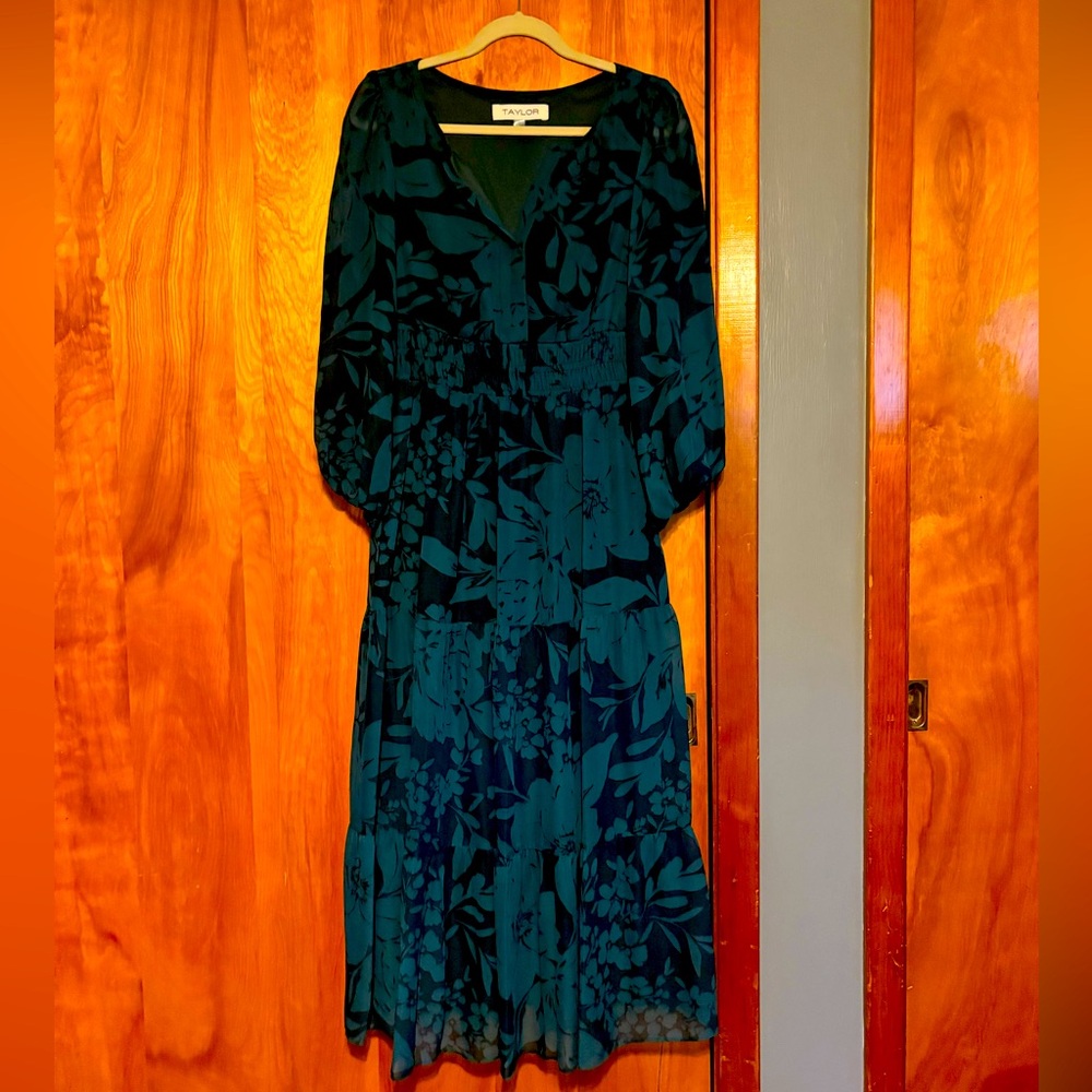 Beautiful Taylor long sleeved maxi